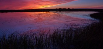 Budget trip to Kamchatka: Photo