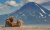 What to see in Kamchatka in summer 